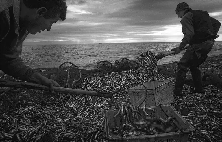 ALONG THE SHORES OF RUSSIA