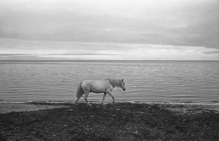ALONG THE SHORES OF RUSSIA