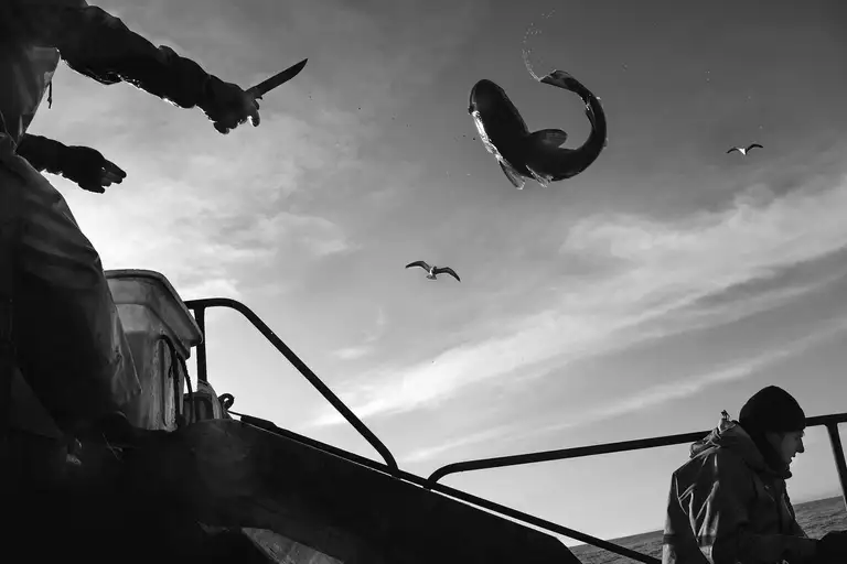 CALAMITY ISLANDS | SAKHALIN AND KURILS