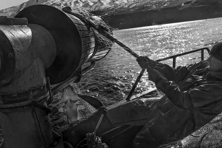 CALAMITY ISLANDS | SAKHALIN AND KURILS