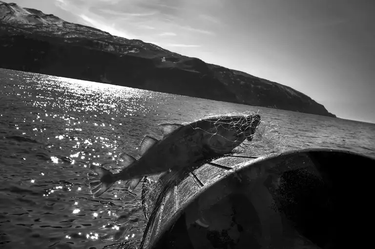 CALAMITY ISLANDS | SAKHALIN AND KURILS