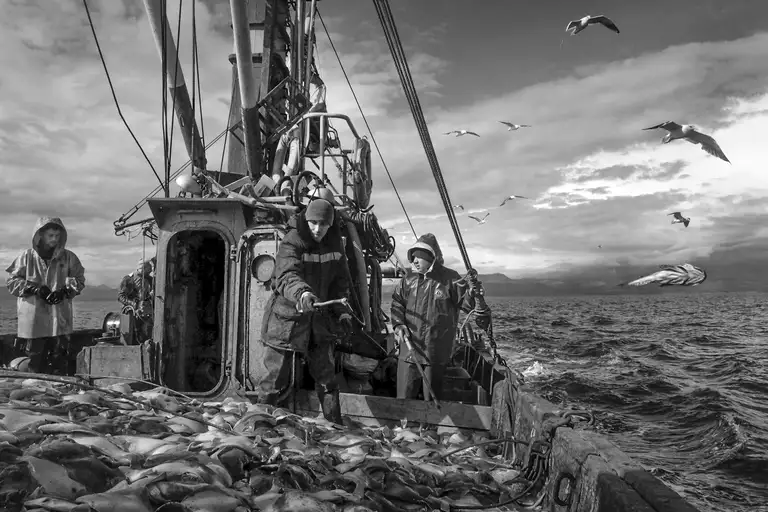 CALAMITY ISLANDS | SAKHALIN AND KURILS
