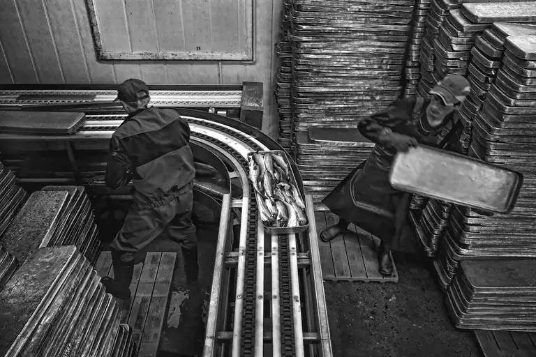 CALAMITY ISLANDS | SAKHALIN AND KURILS