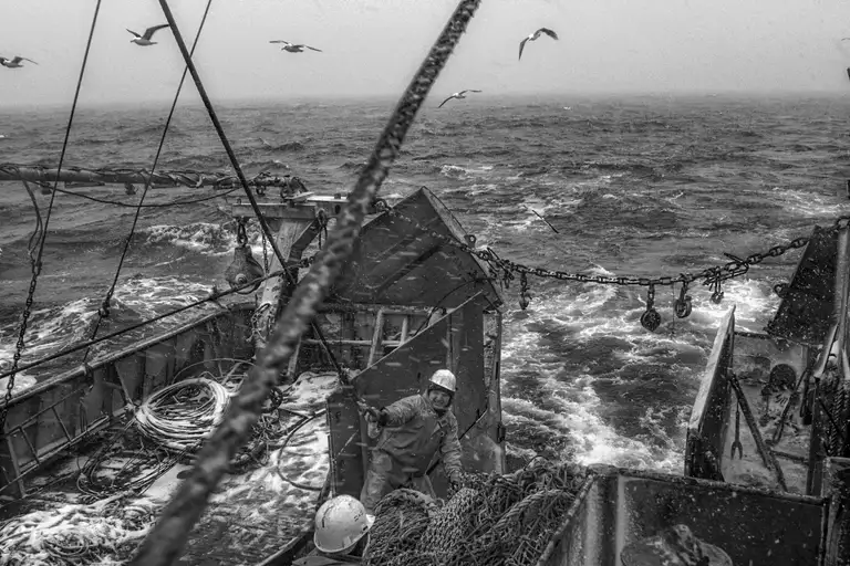 CALAMITY ISLANDS | SAKHALIN AND KURILS