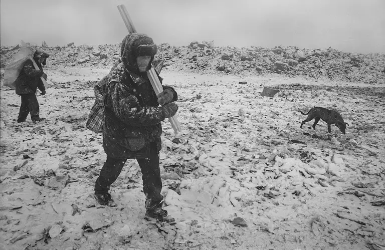 WITNESSES OF THE TIME