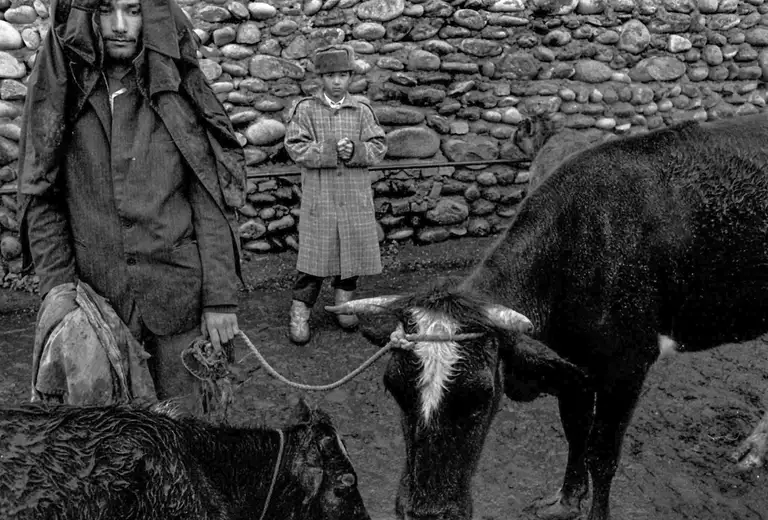 WITNESSES OF THE TIME