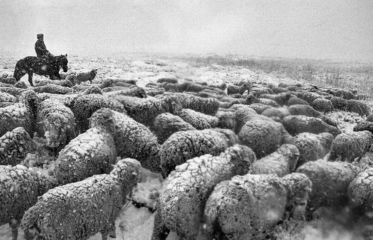 WITNESSES OF THE TIME