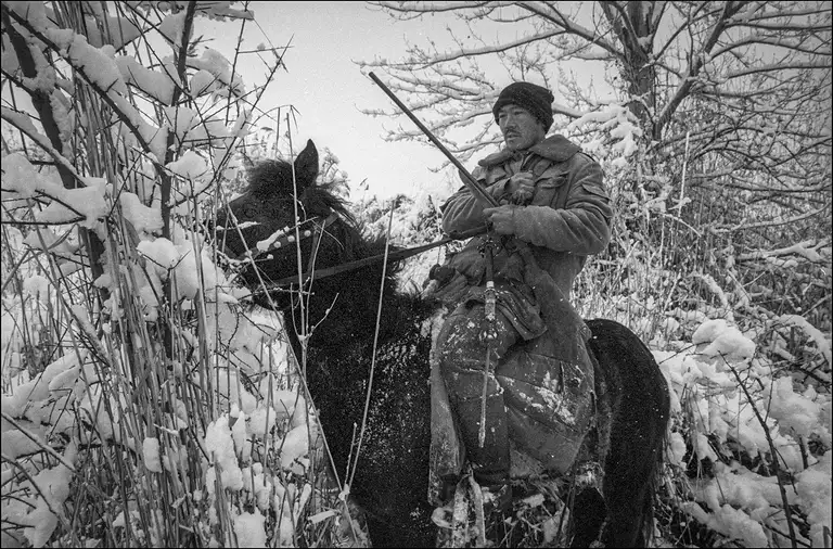 WITNESSES OF THE TIME