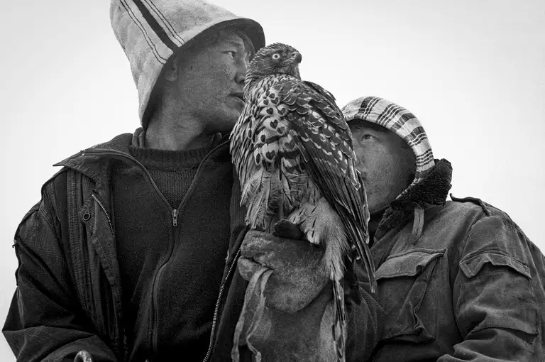 WITNESSES OF THE TIME