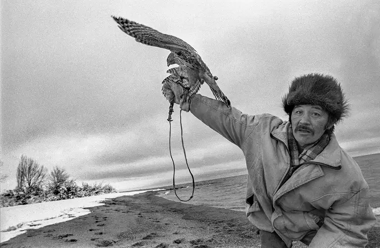 WITNESSES OF THE TIME