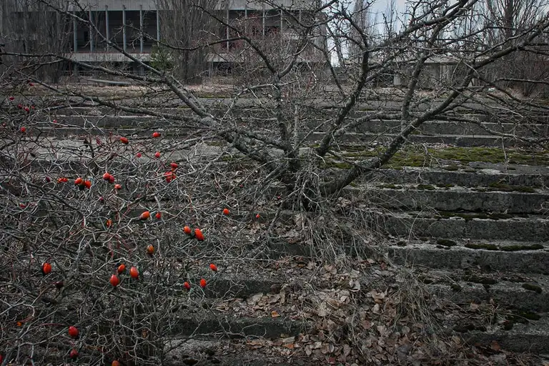 Photo: Chernobyl/Exclusion zone, Pripyat, Ukraine by Oleg Klimov, 2011