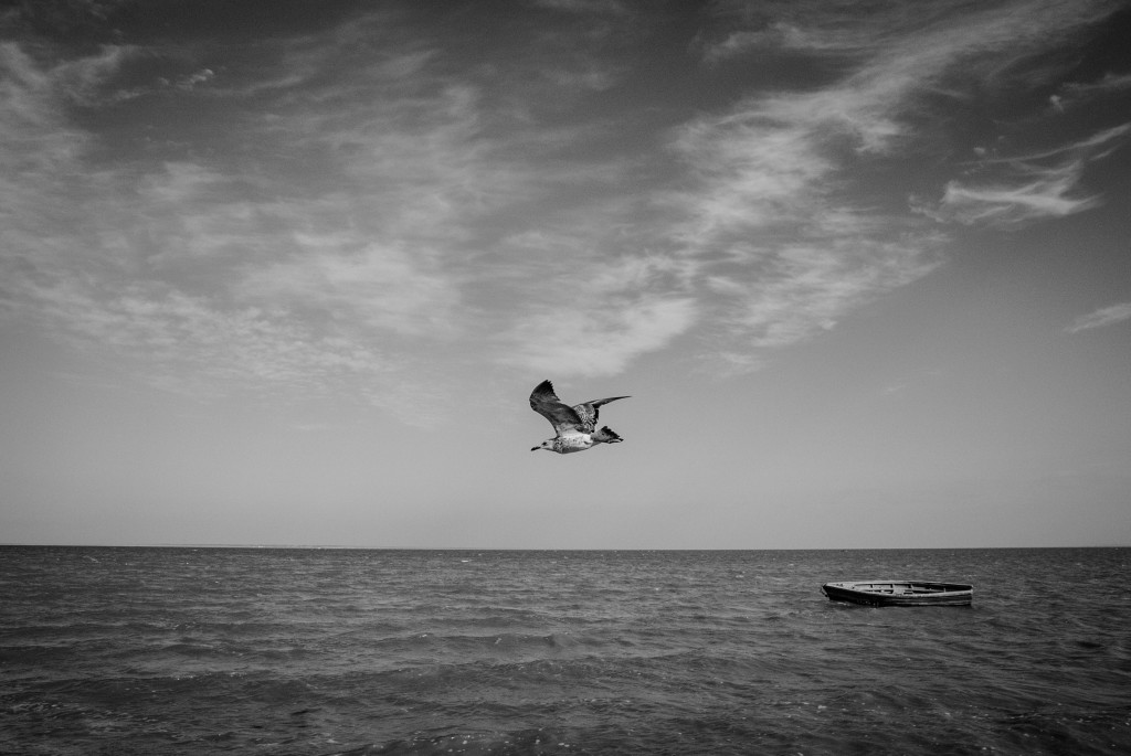 Photo by Alexander Aksakov